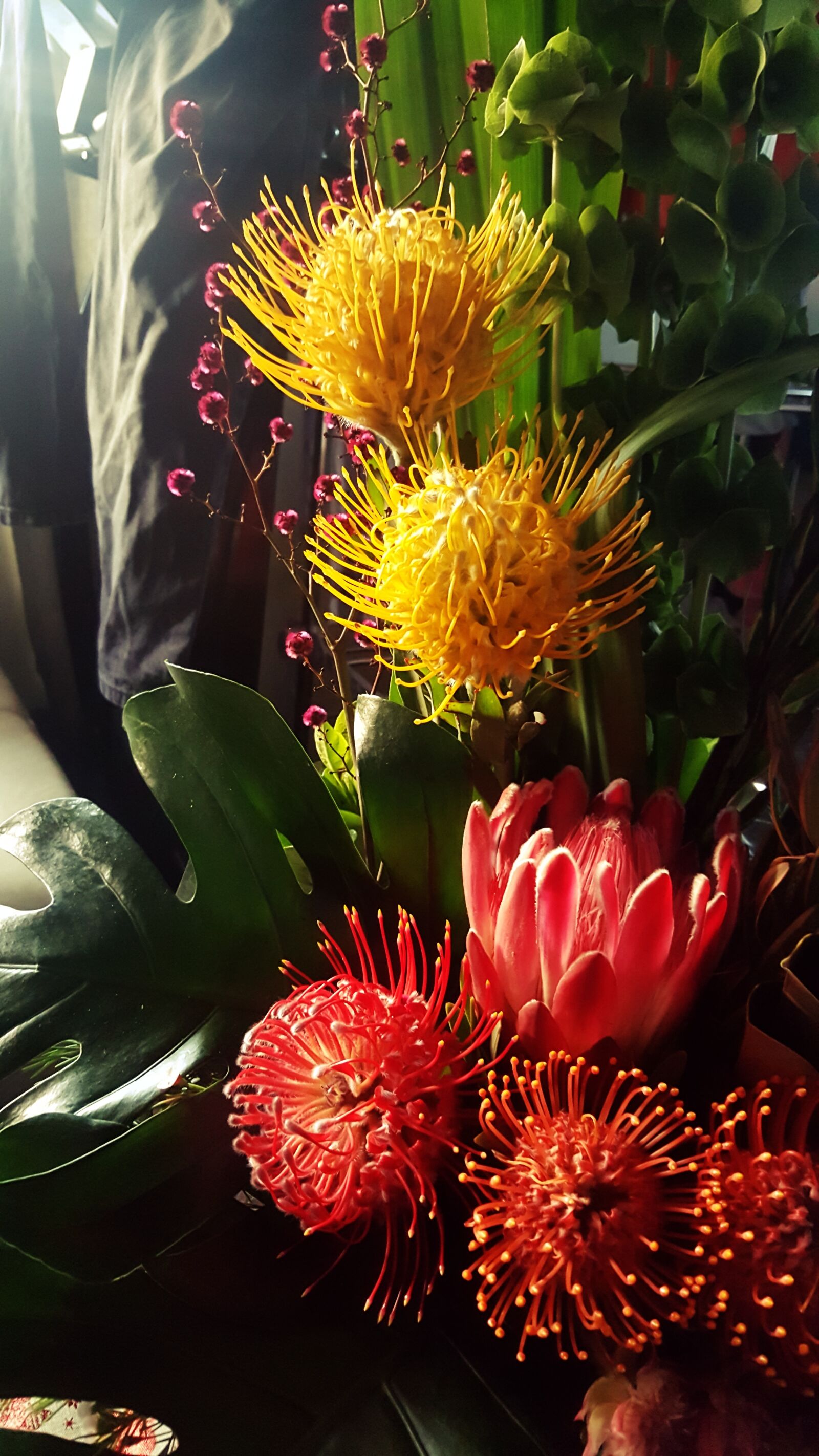 Samsung Galaxy Note5 sample photo. Australian, flowers photography