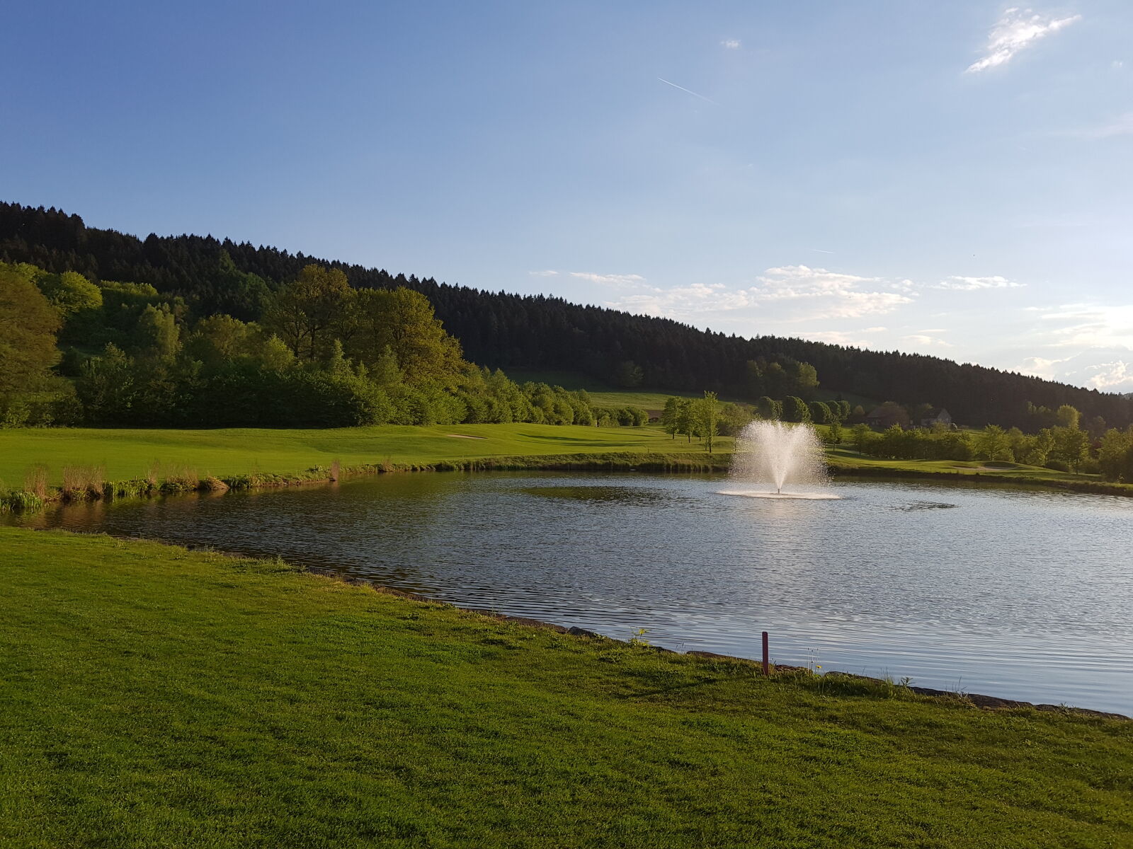 Samsung Galaxy S8+ sample photo. Golf, gctw, teutoburger, wald photography