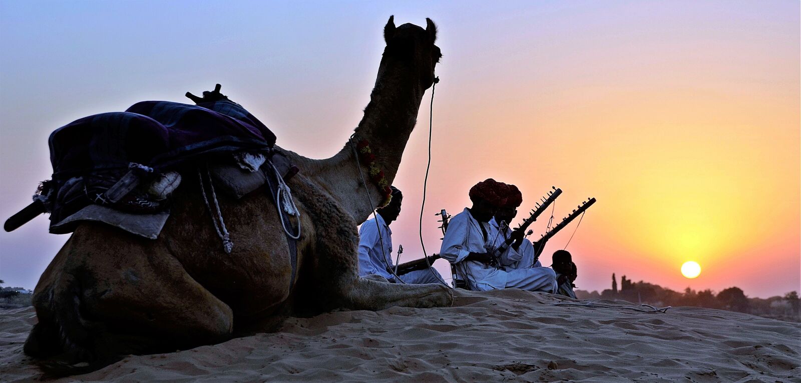 Nikon D5100 sample photo. Camel, trekking, desert photography