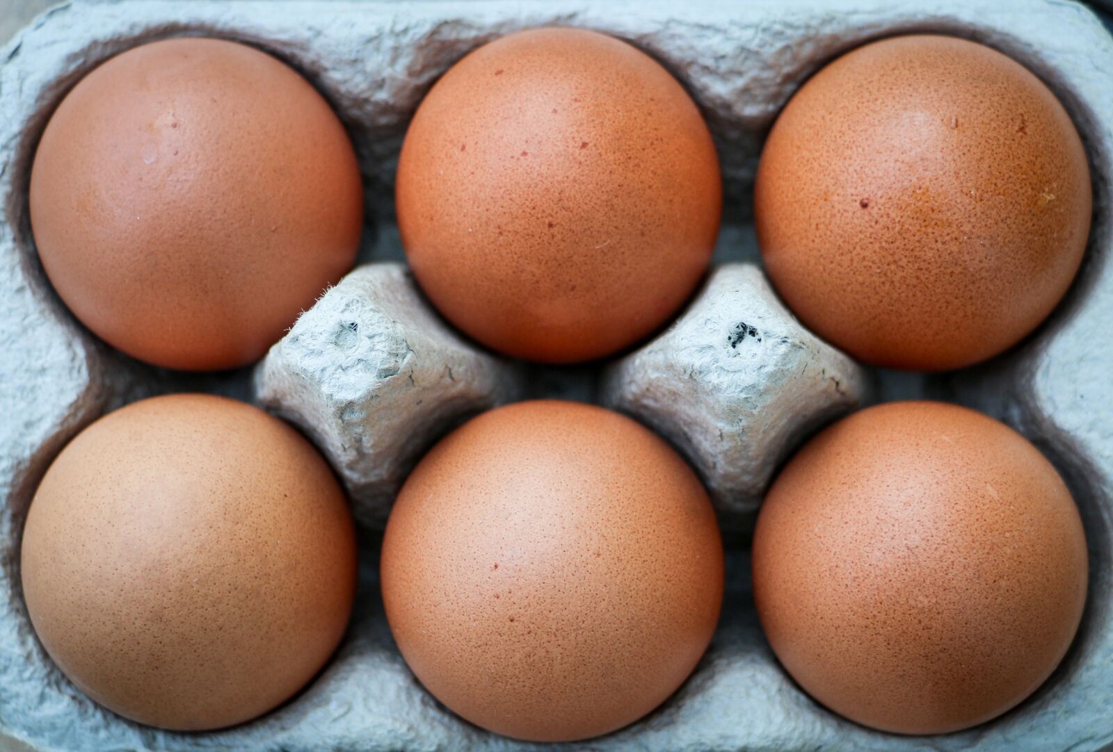 Canon EOS 70D sample photo. Eggs, six, box photography