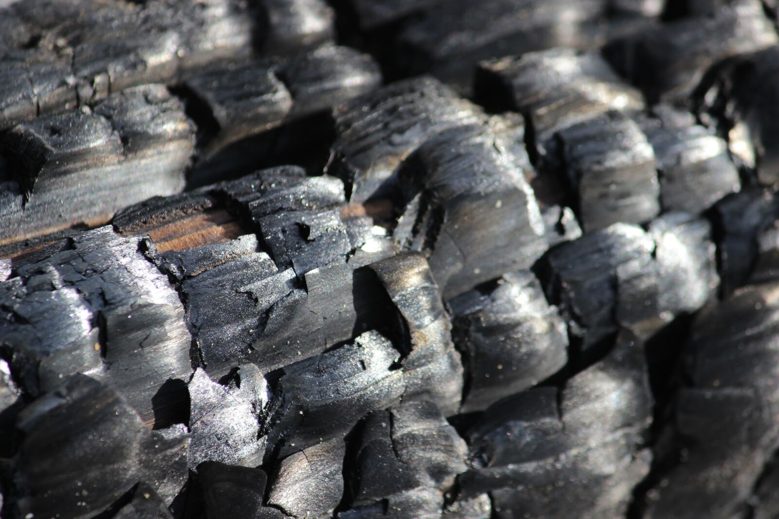 Canon EOS 600D (Rebel EOS T3i / EOS Kiss X5) sample photo. Wood, fire, carbon photography