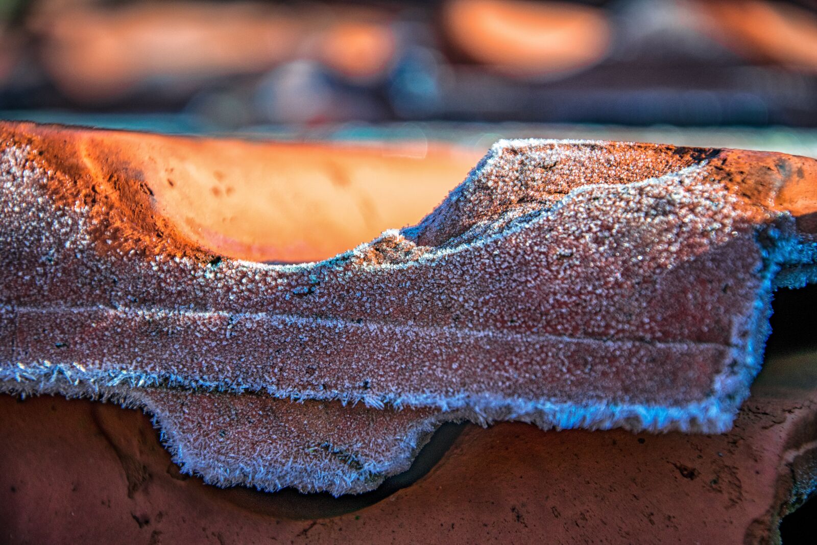 Nikon D3300 sample photo. Background, color, texture photography