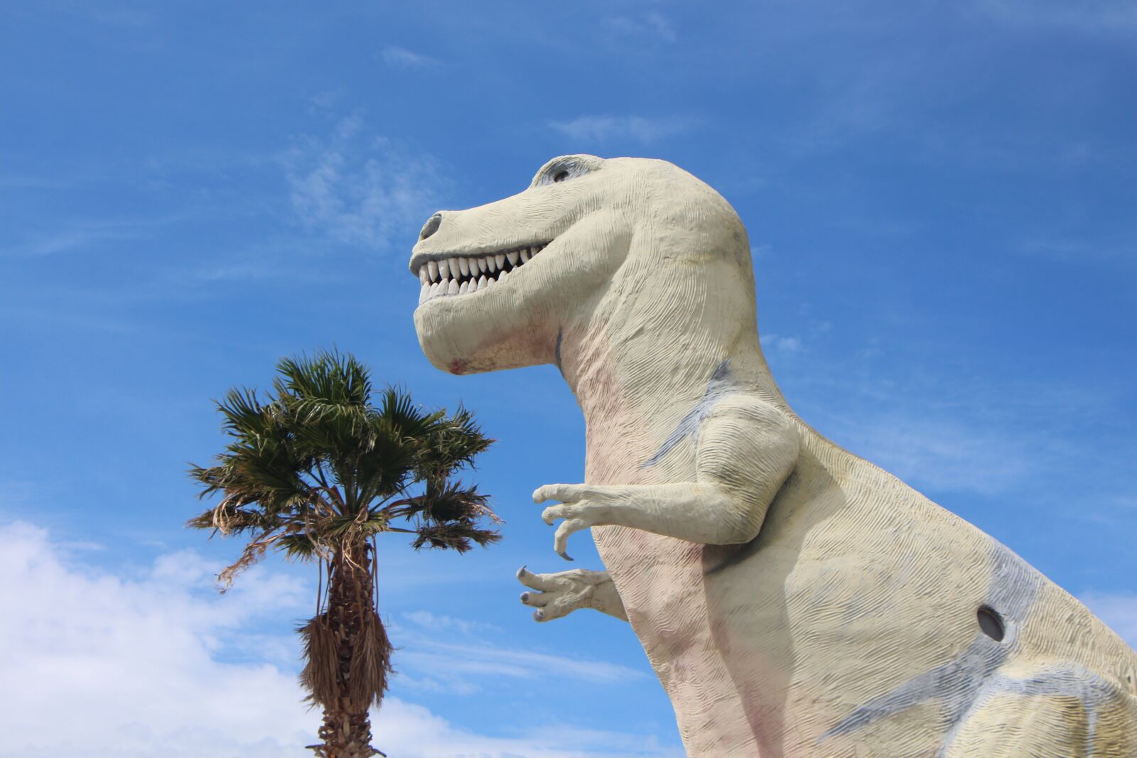 Canon EOS 650D (EOS Rebel T4i / EOS Kiss X6i) + Canon EF-S 18-135mm F3.5-5.6 IS STM sample photo. T-rex, dinosaur, palm springs photography