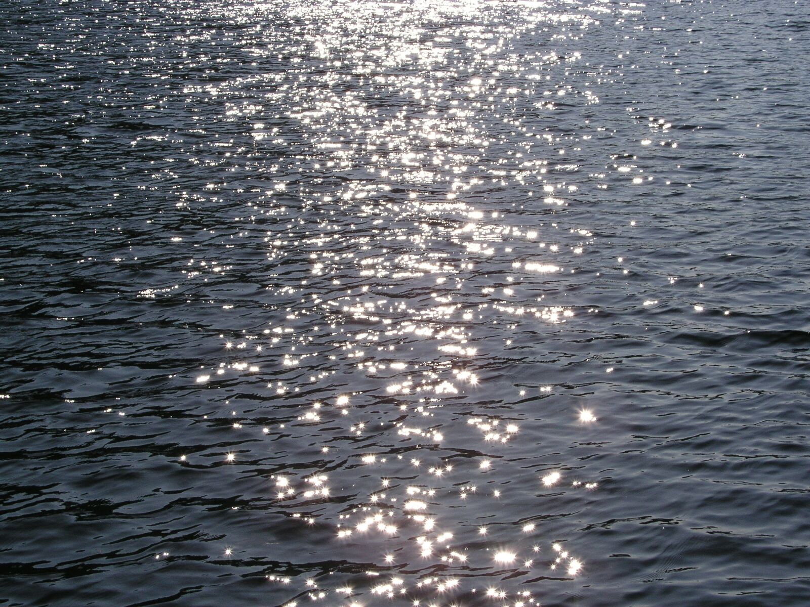 Olympus C5050Z sample photo. River, nature, water photography