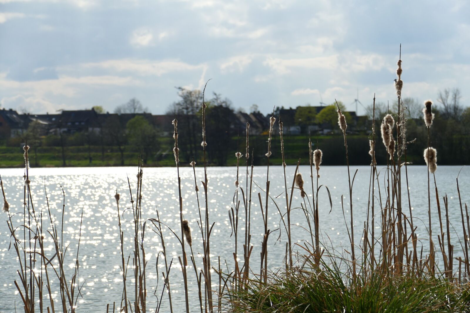 Panasonic Lumix DMC-FZ1000 sample photo. Lake, water, waters photography