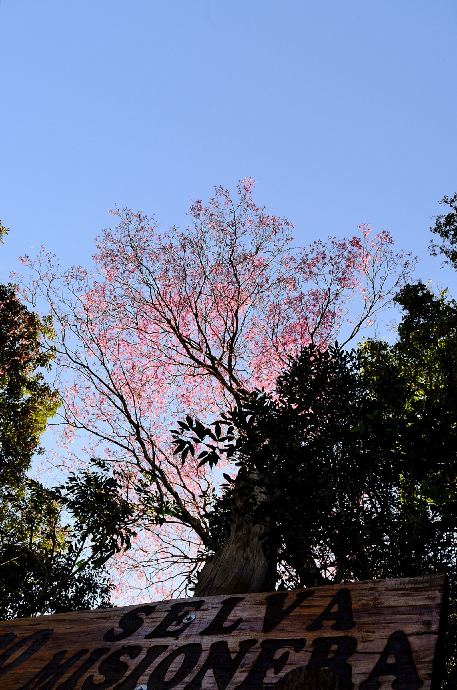 Nikon D5100 sample photo