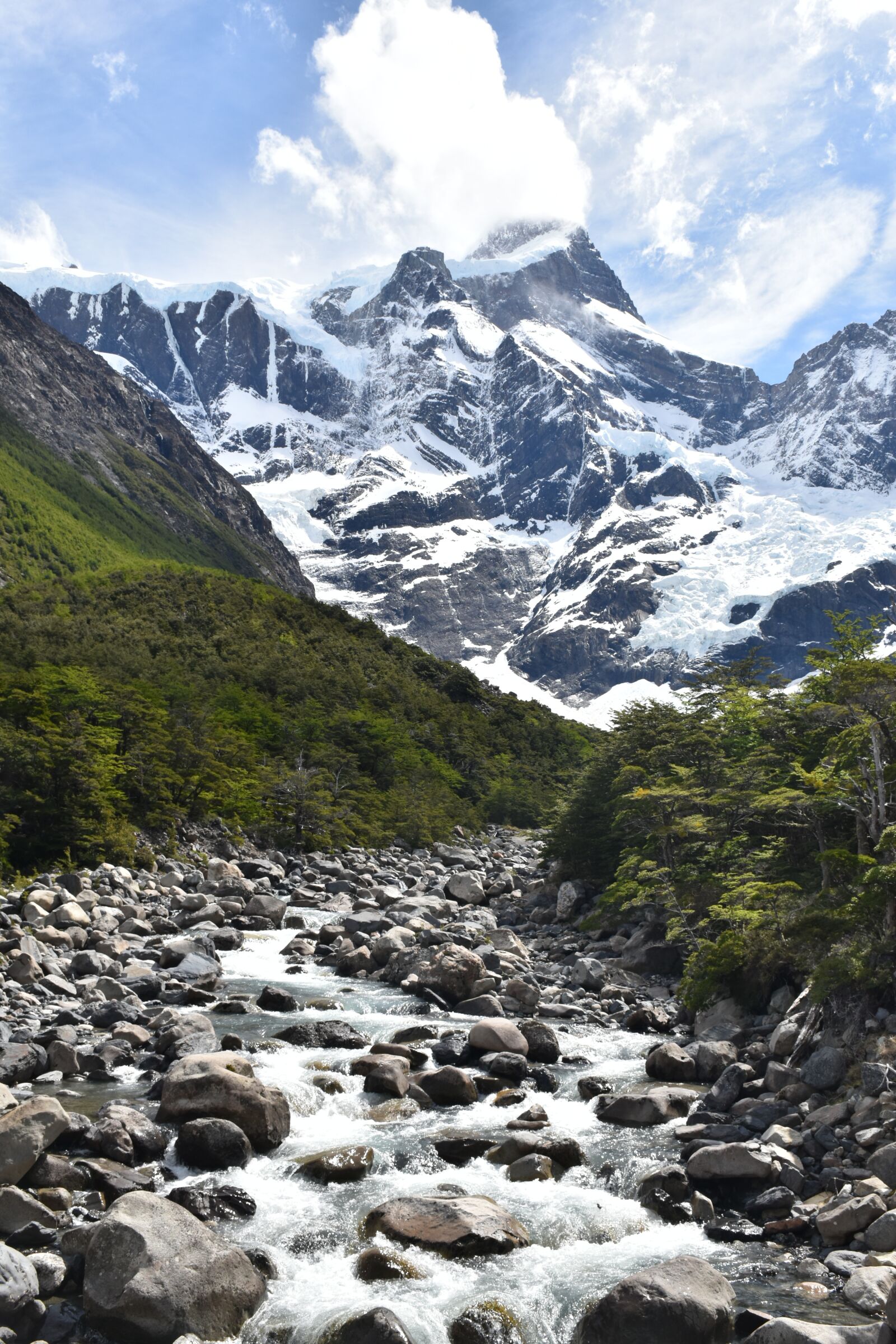 Nikon D5500 sample photo. Patagonia, torres del paine photography