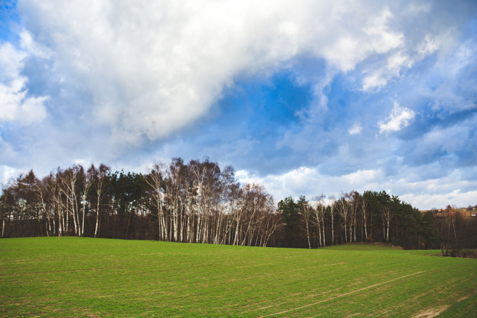 Canon EOS 6D + Sigma 35mm F1.4 DG HSM Art sample photo. Green, field, and, blue photography