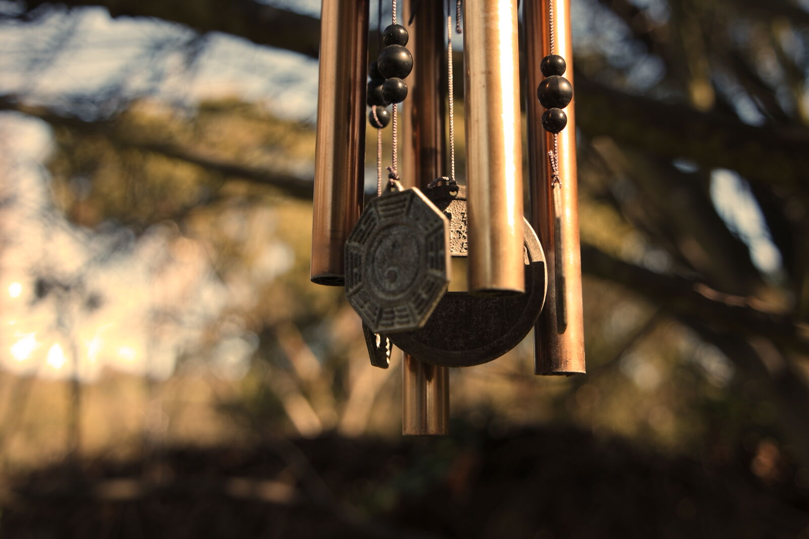 Samsung NX3000 sample photo. Chime, copper, tree photography