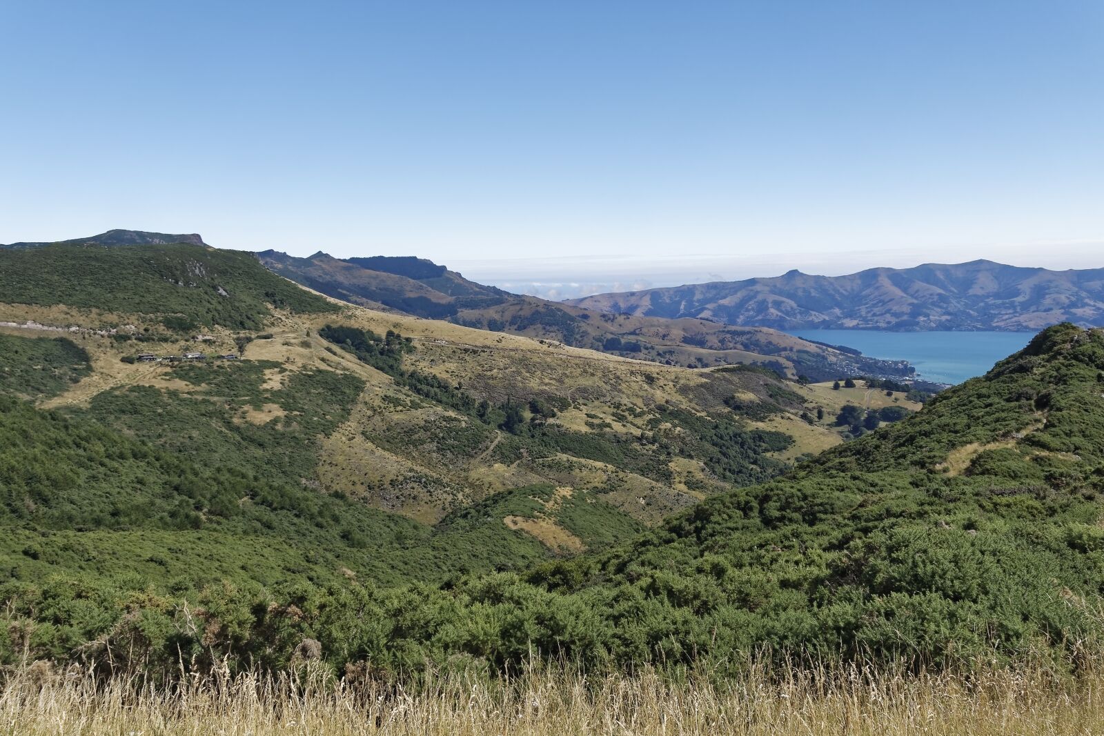 Nikon D500 sample photo. New zealand, banks peninsula photography