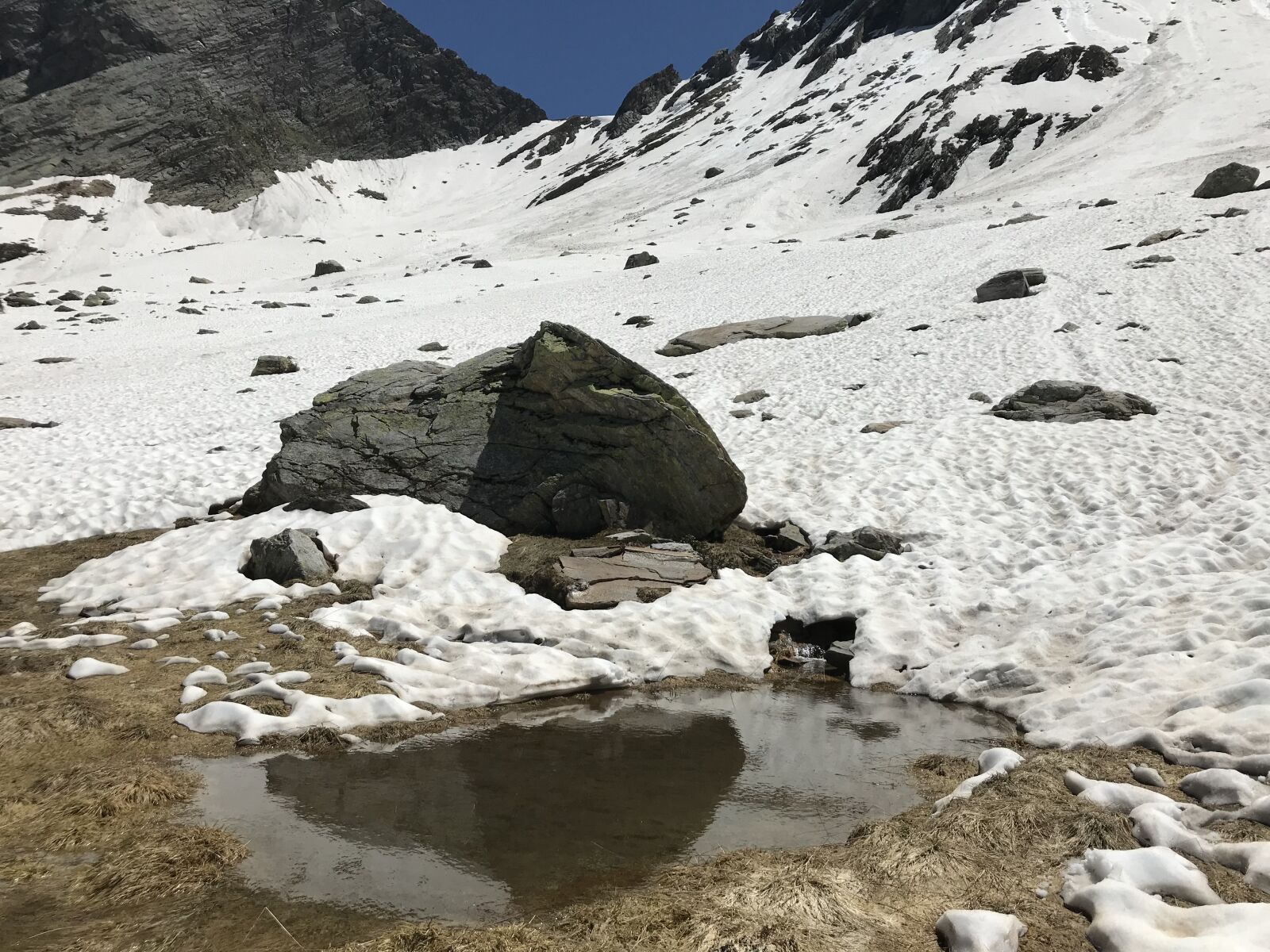 iPhone 7 back camera 3.99mm f/1.8 sample photo. Alp de setaggie, alpine photography