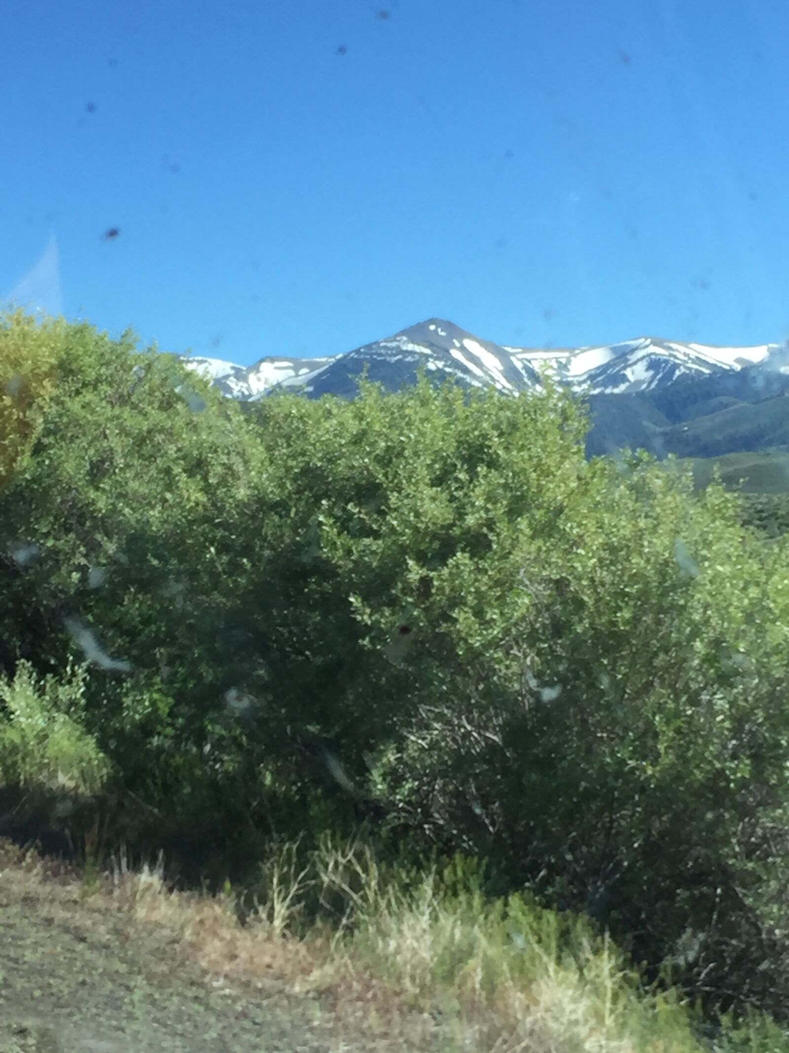 iPhone 6 Plus back camera 4.15mm f/2.2 sample photo. Colorado photography