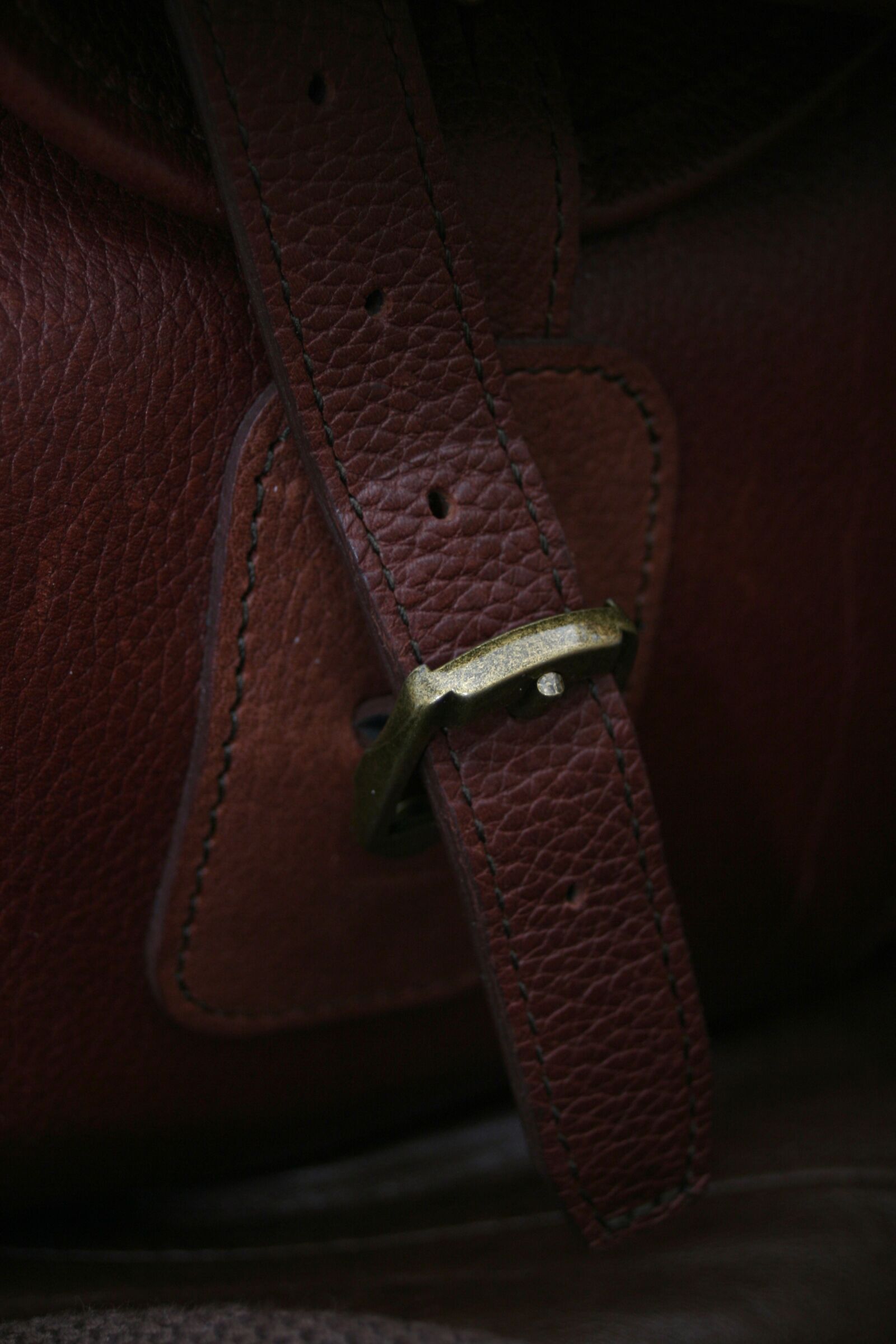 Canon EOS 350D (EOS Digital Rebel XT / EOS Kiss Digital N) sample photo. Brown, leather, buckle photography