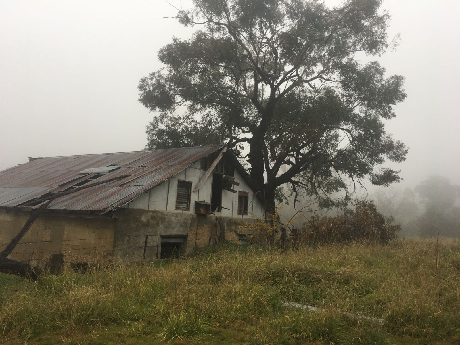 iPhone 6s back camera 4.15mm f/2.2 sample photo. Beechworth, mist, ruins photography