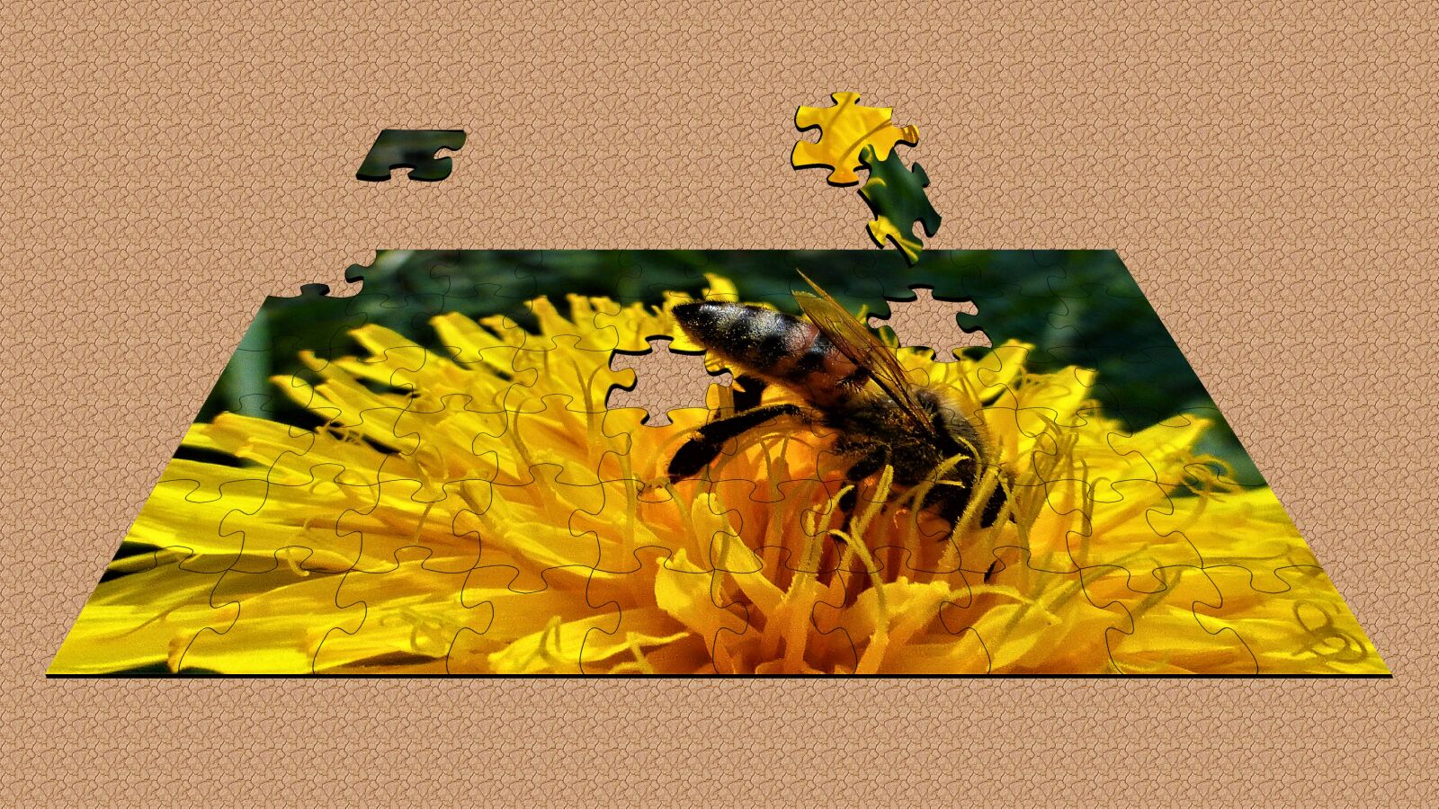 Panasonic Lumix DMC-ZS25 (Lumix DMC-TZ35) sample photo. Texture, puzzle, insect photography