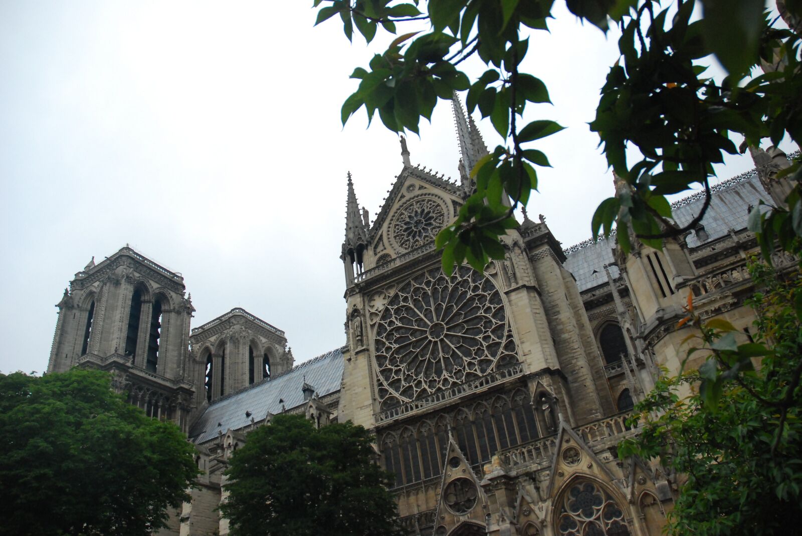 Nikon D80 sample photo. Church, notre dame, notre-dame photography