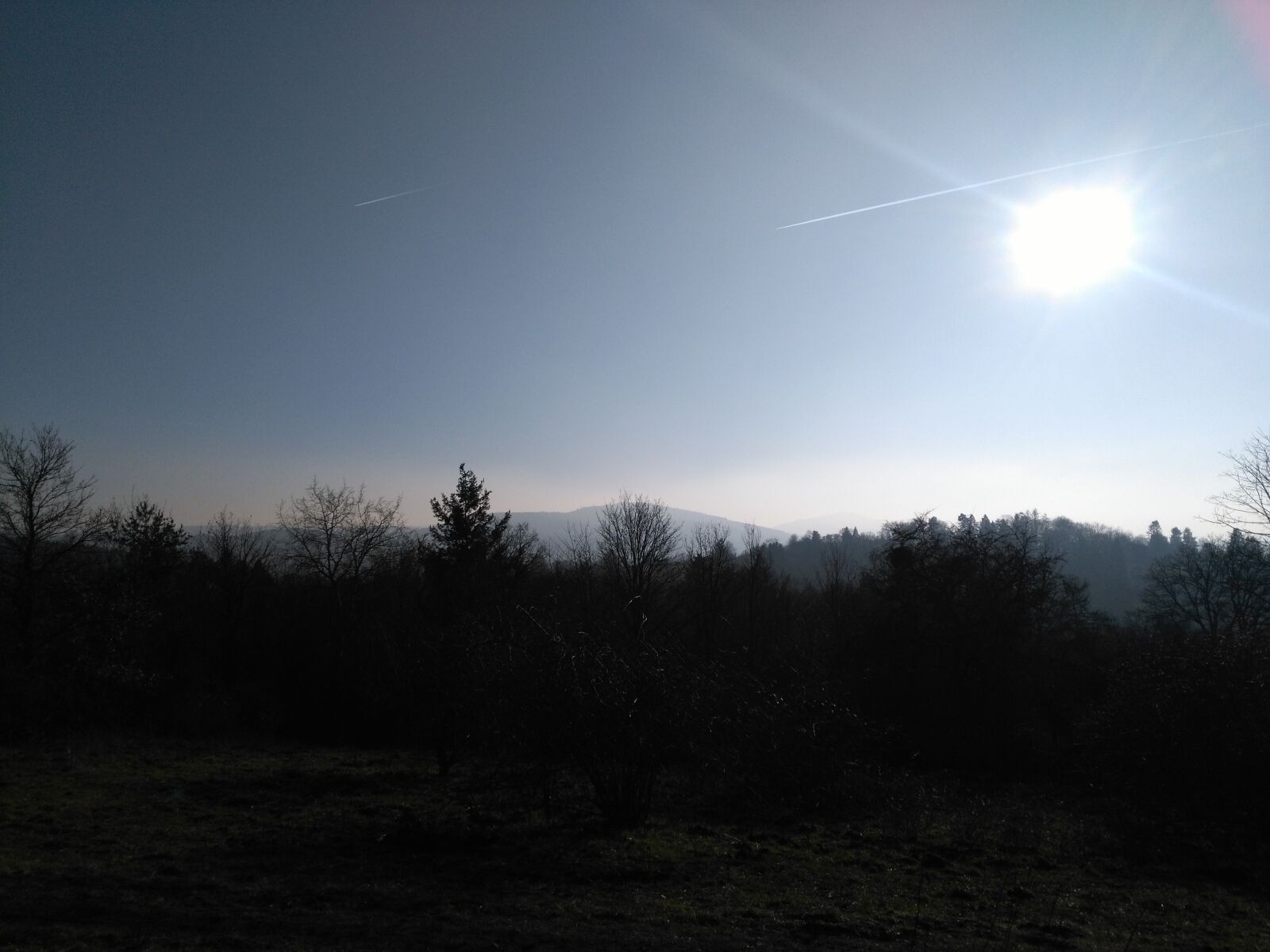 HUAWEI KIW-L21 sample photo. Forest, backlighting, hill photography