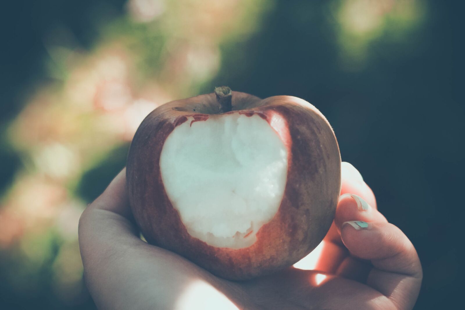 Canon EOS 60D + Canon EF 50mm F1.8 II sample photo. Fruit, food, nature photography