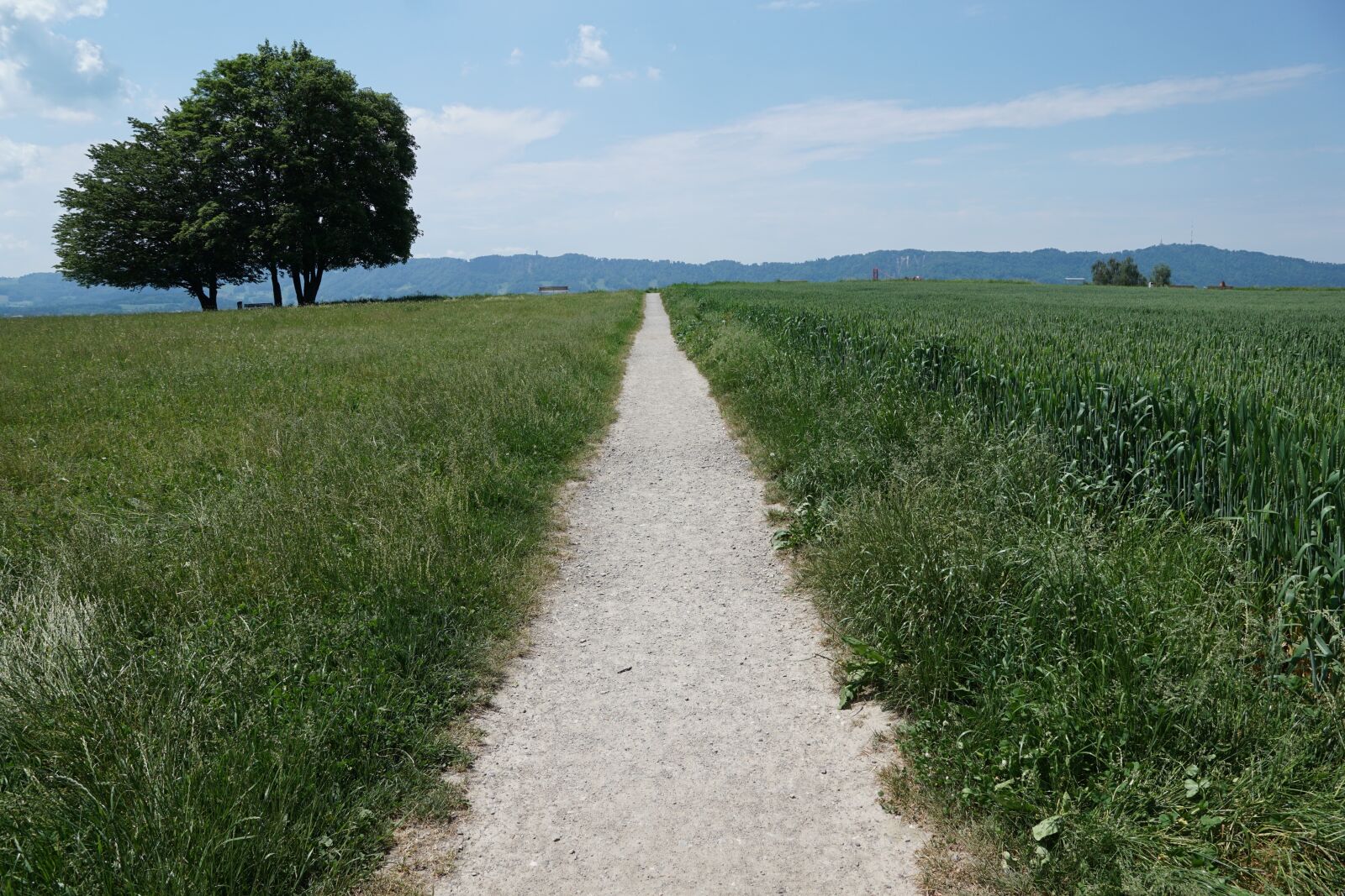 Sony ILCA-77M2 + Sony DT 16-50mm F2.8 SSM sample photo. Zollikon, switzerland, zurich photography