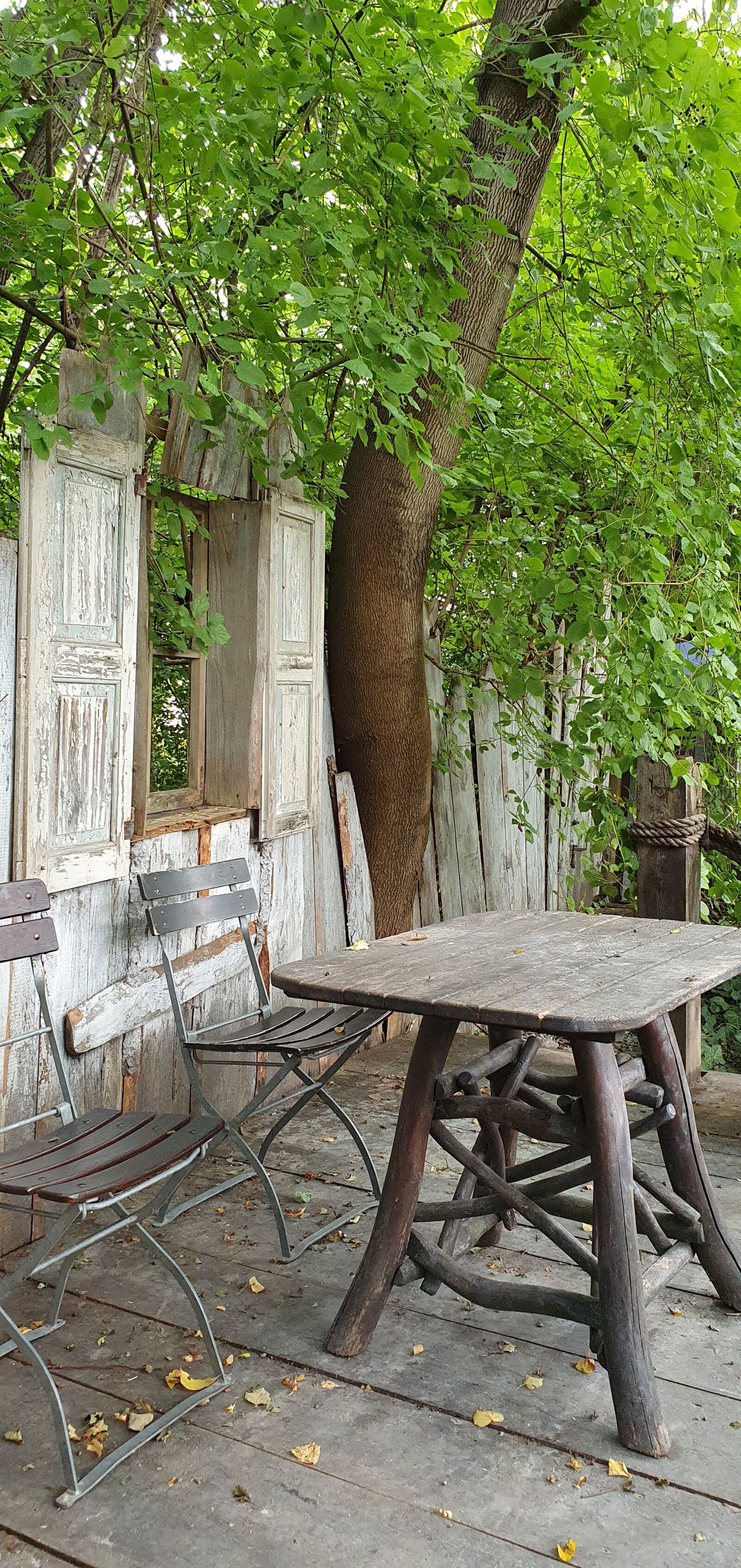 Samsung SM-G975F sample photo. Time out, nature, rest photography