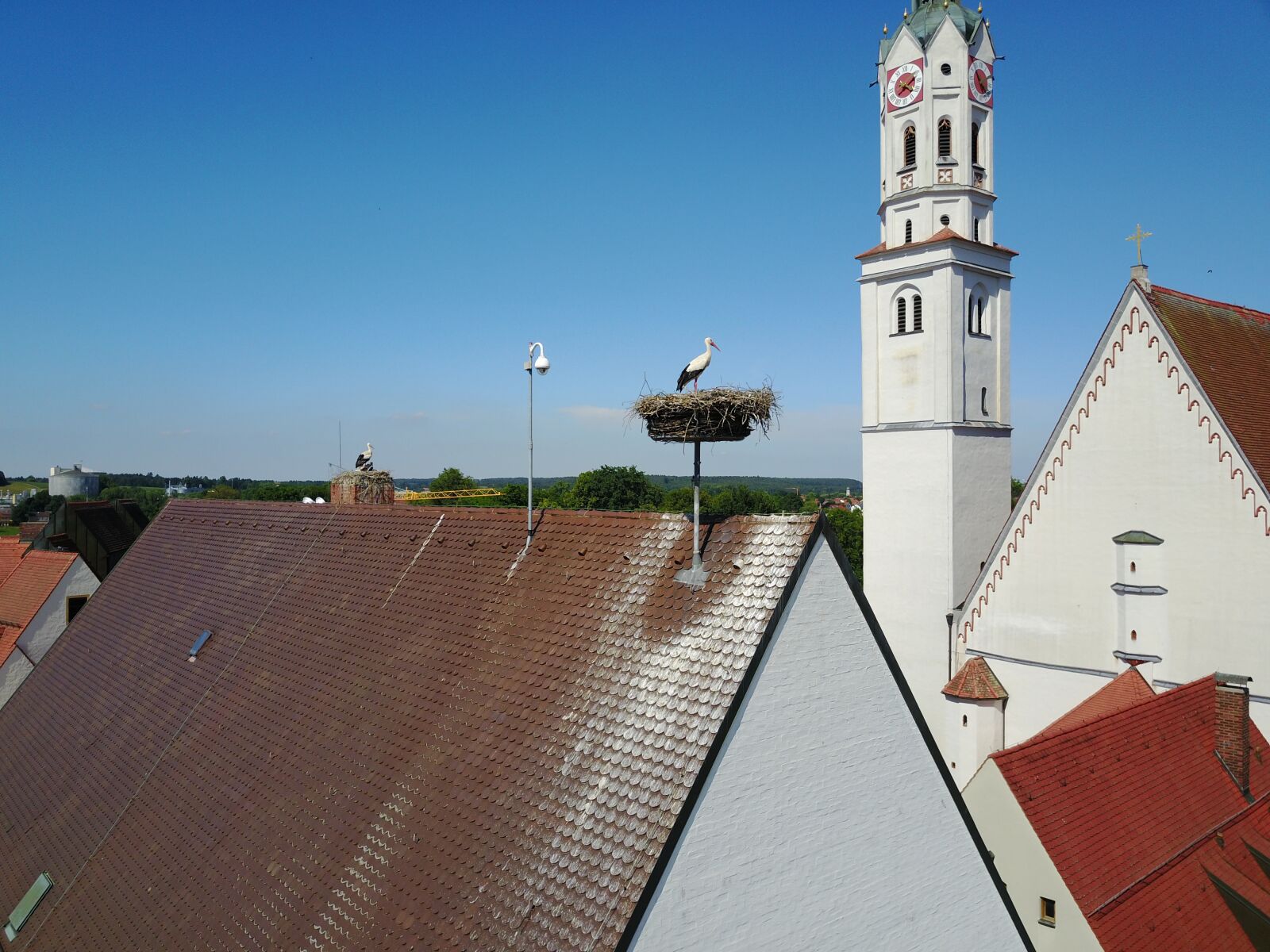 DJI FC220 sample photo. Stork, storchennest, nest photography