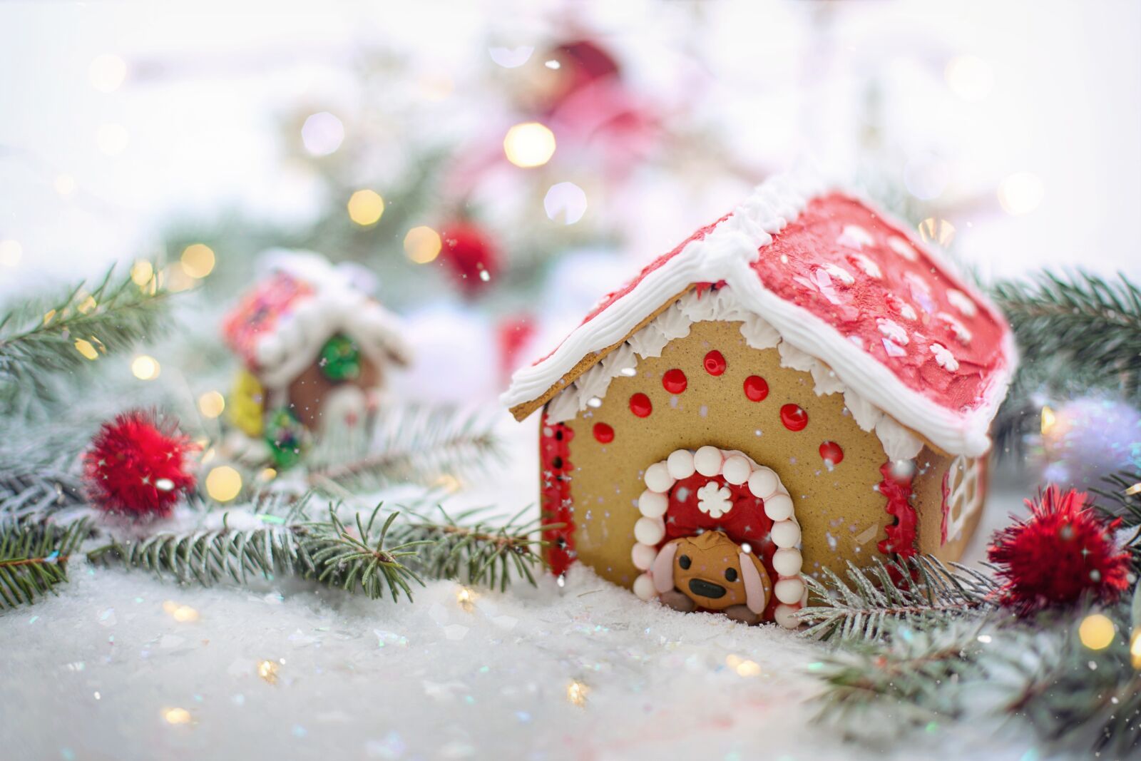 Canon EF 50mm F1.4 USM sample photo. Gingerbread house, winter, snow photography