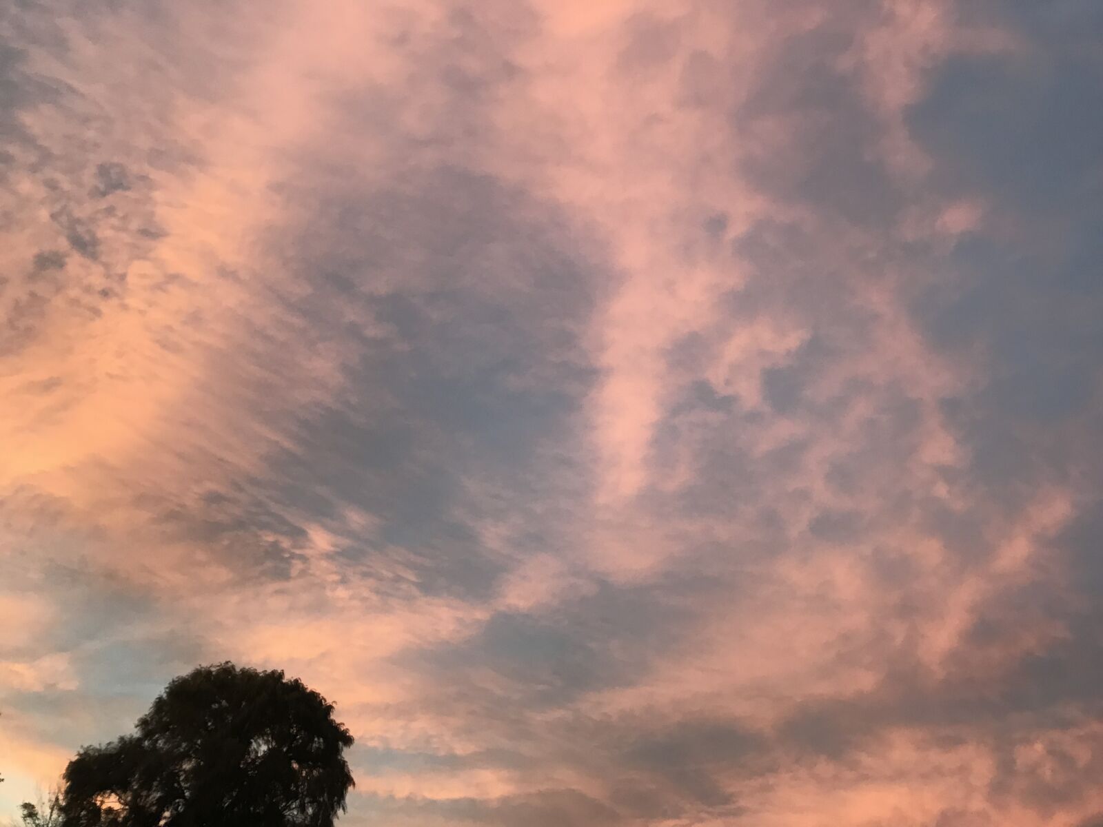 iPhone 7 back camera 3.99mm f/1.8 sample photo. Clouds, evening, evening, sky photography