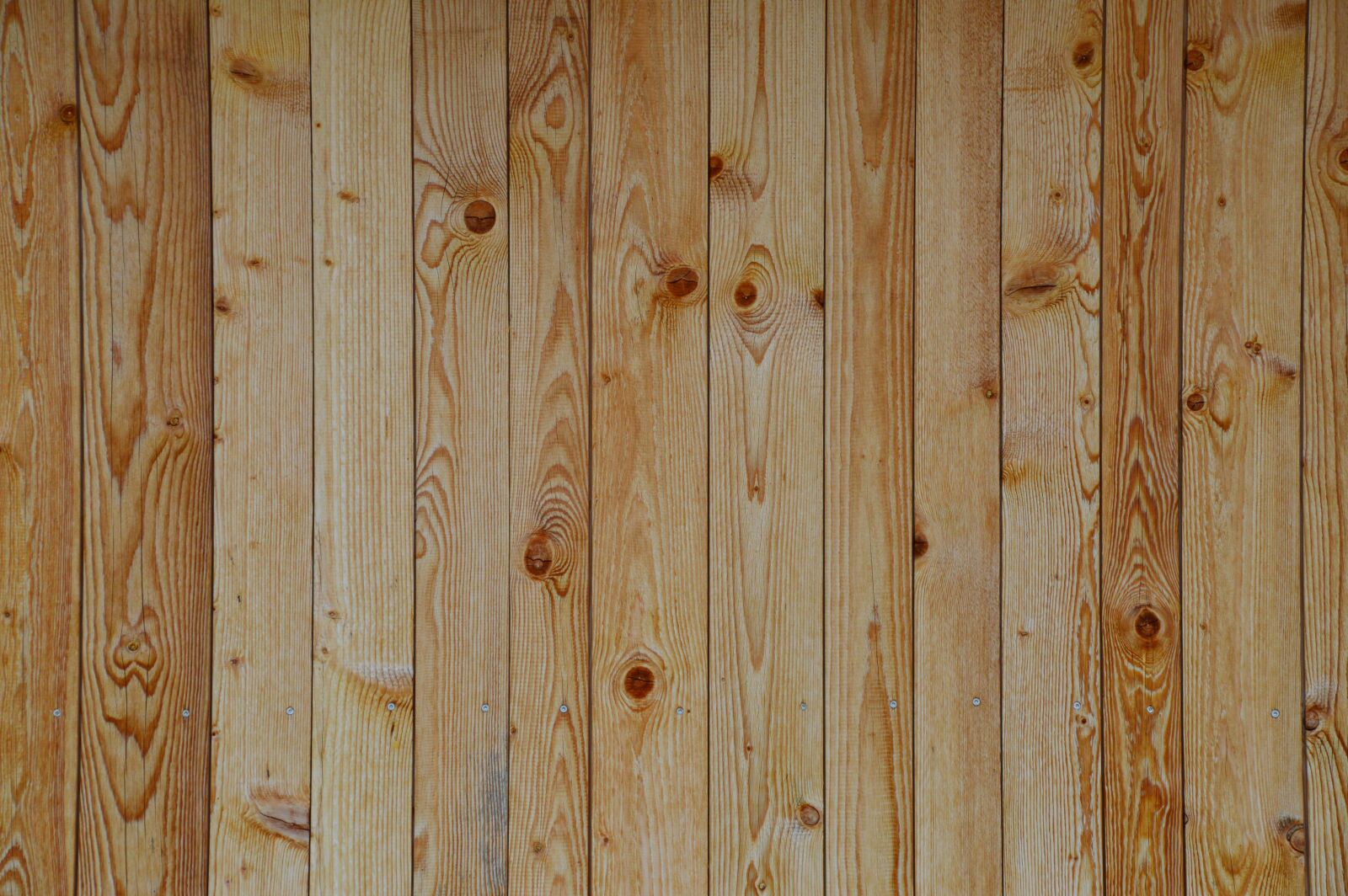 Nikon D3200 sample photo. Texture, wood grain, boards photography