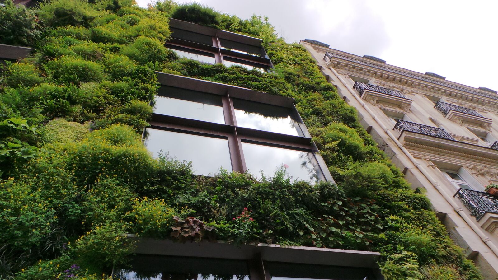 Samsung Galaxy Camera (Wi-Fi) sample photo. Wall, eco, eco wall photography