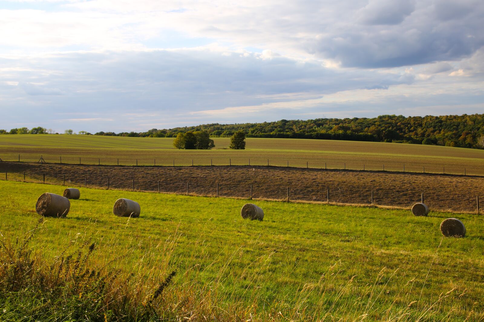Canon EF 24-105mm F4L IS II USM sample photo. Autumn, harvest, straw bales photography