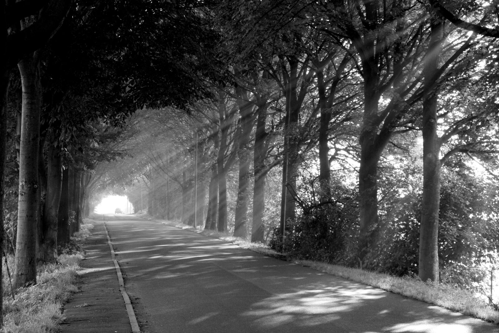 Canon EOS 450D (EOS Rebel XSi / EOS Kiss X2) sample photo. Sun, road, atmosphere photography