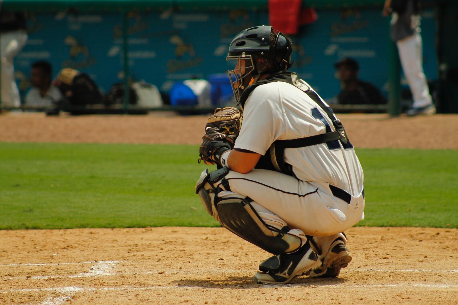 Canon EF 75-300mm f/4-5.6 sample photo. Baseball, catcher, adult baseball photography
