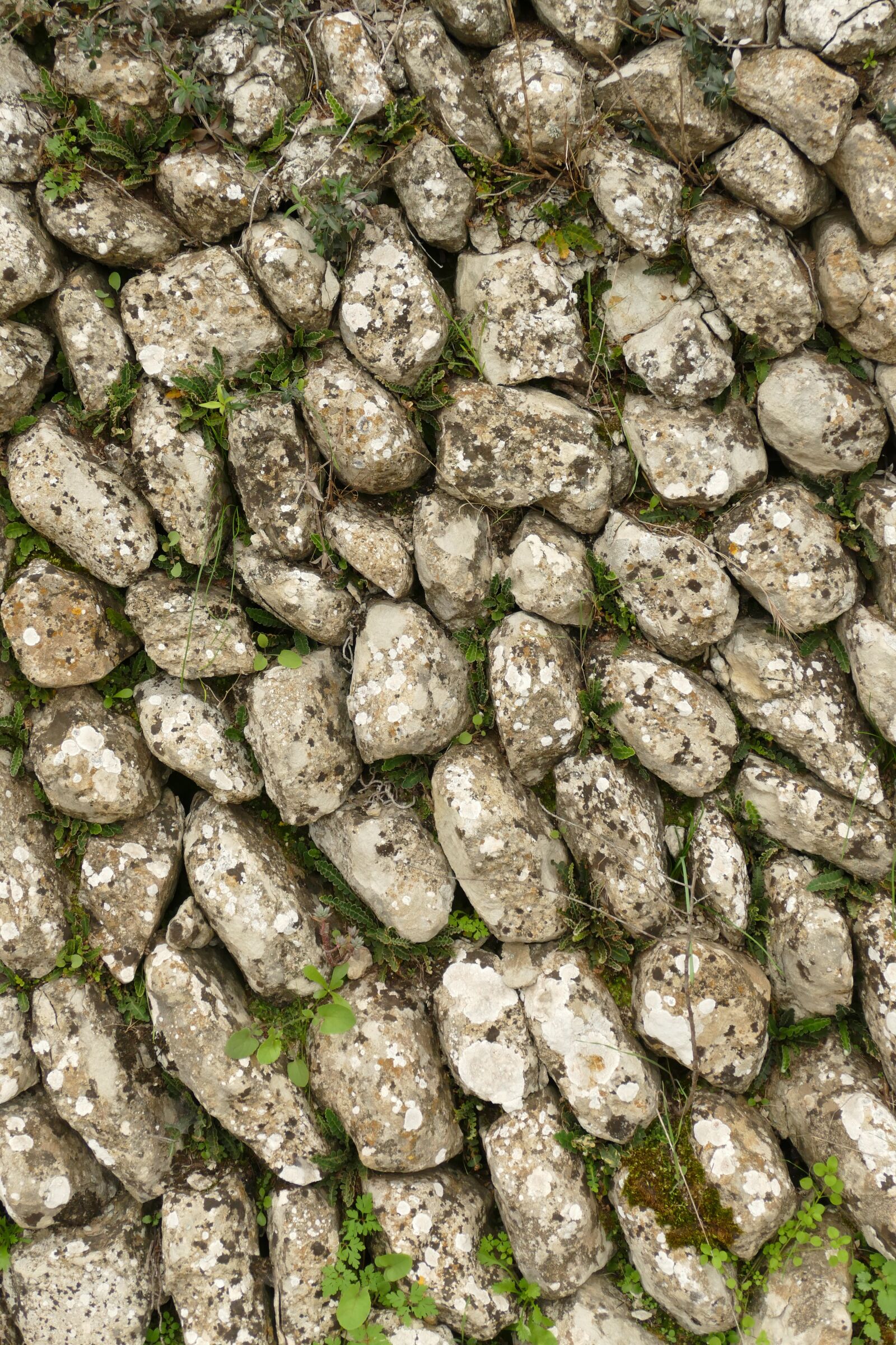 Panasonic Lumix DMC-FZ1000 sample photo. Wall, stone, pile up photography
