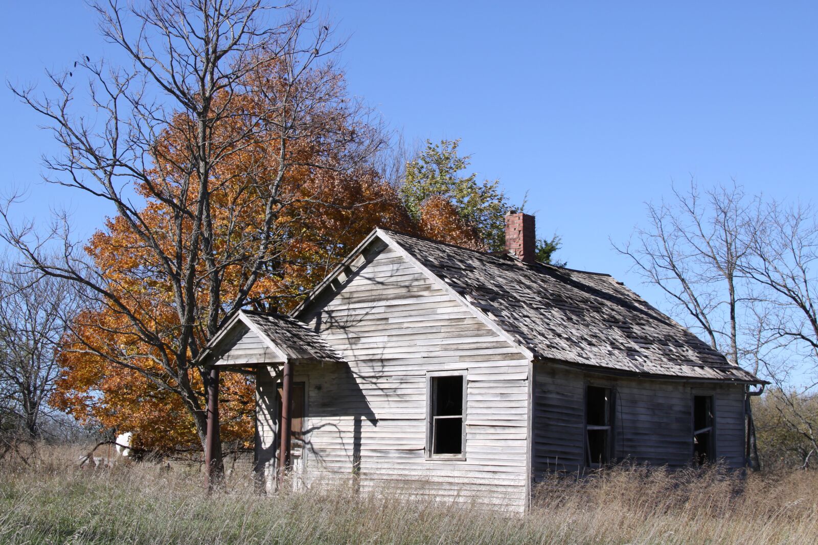 Canon EOS 50D sample photo. Old house, fall, rustic photography
