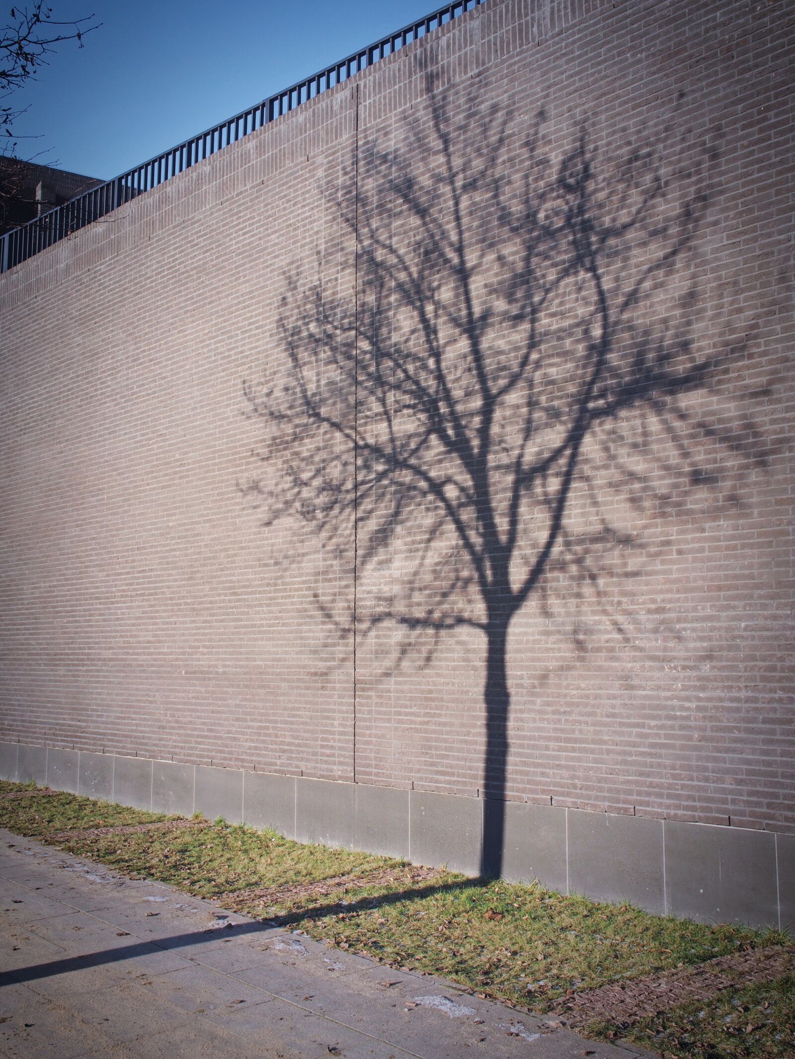 Olympus PEN E-PL5 sample photo. Brick, shadow, tree, wall photography