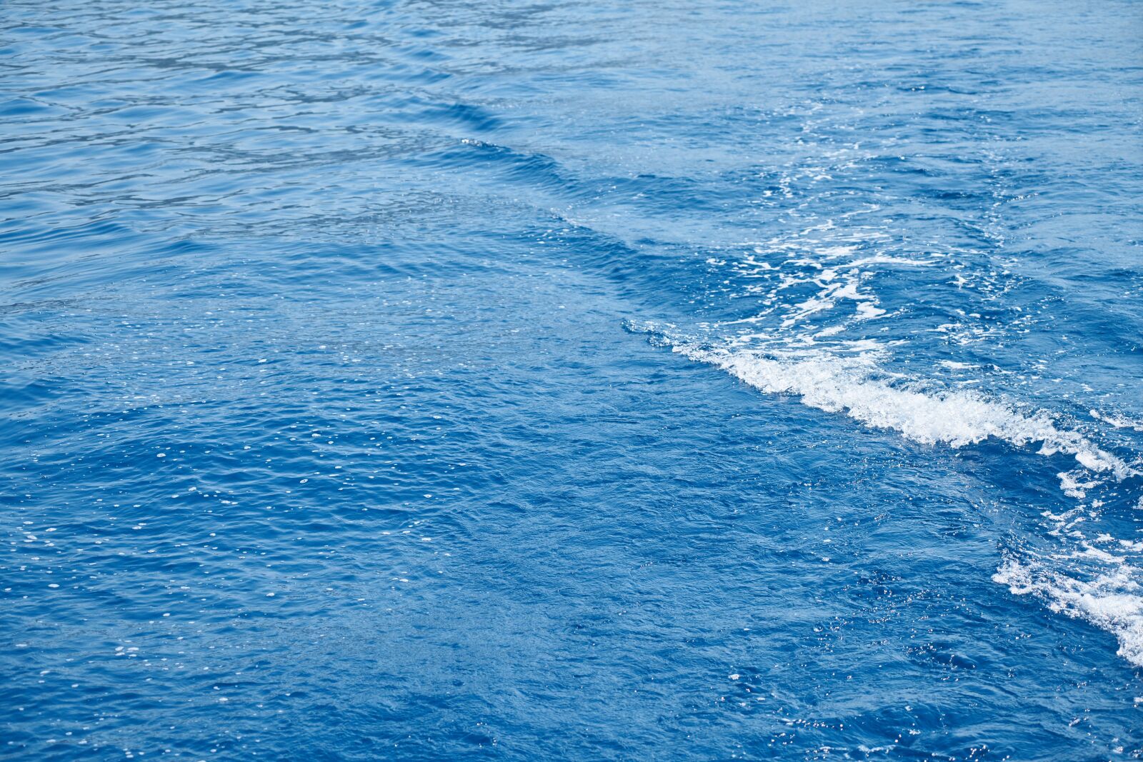 Sony a7R II sample photo. Marine, blue, texture photography