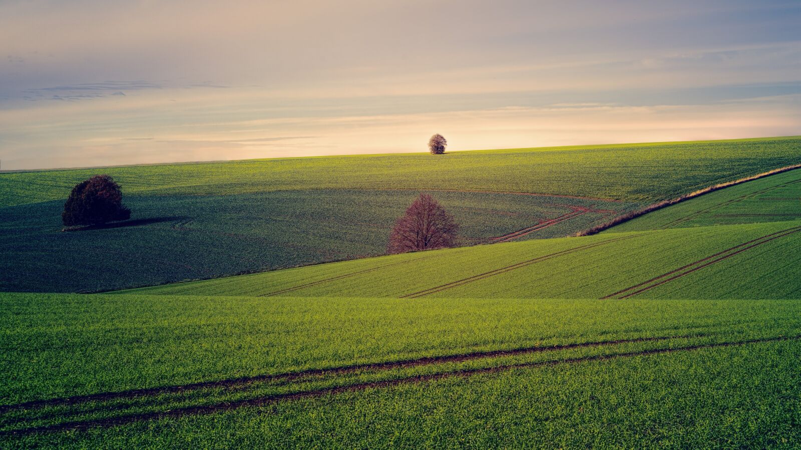 Sony a7 II + DT 70-200mm F4 SAM sample photo. Fields, tree, hill photography