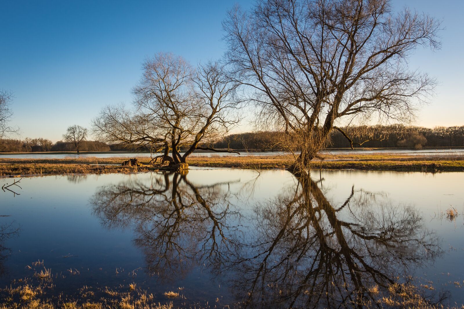 Nikon D7200 sample photo. Elbe, high water, evening photography