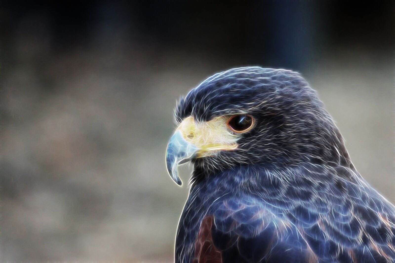 Canon EOS 600D (Rebel EOS T3i / EOS Kiss X5) sample photo. Falcon, big hawk, bird photography