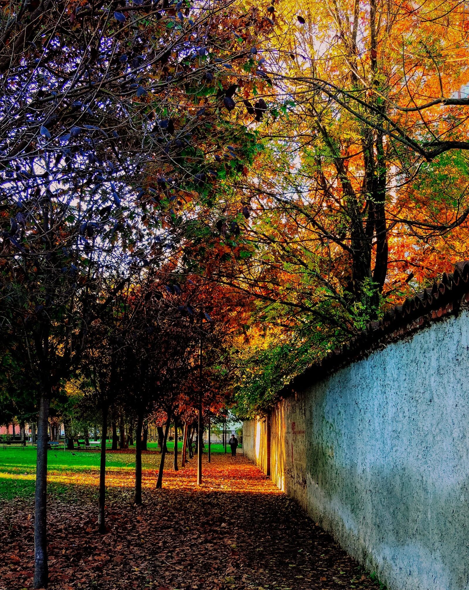 Nikon Coolpix P520 sample photo. Torino, piemonte, italy photography