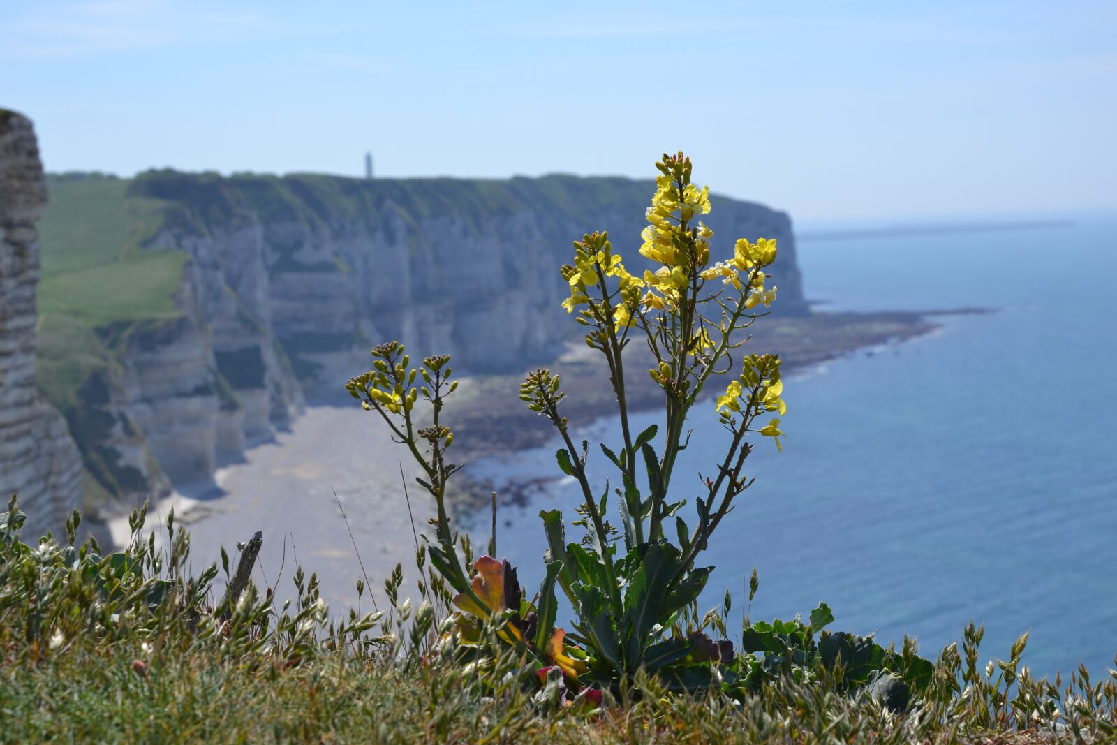 Nikon D3100 sample photo. Normandy, cliffs, france photography