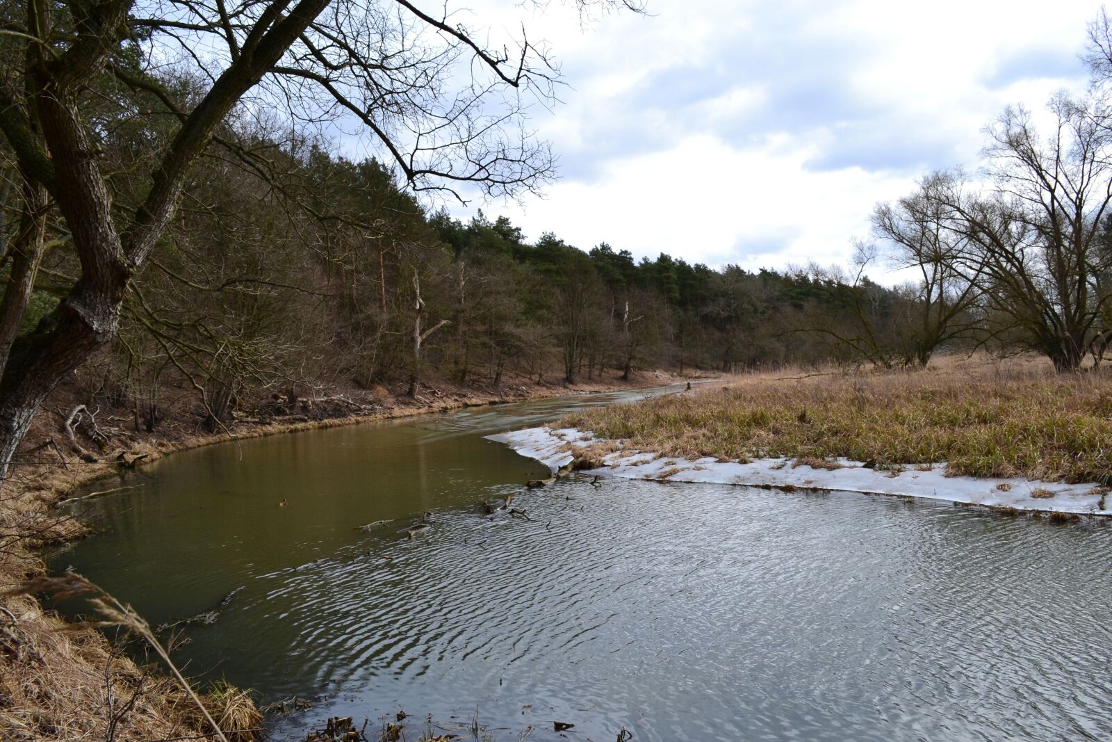 Nikon D3100 sample photo. River, forest, nature photography