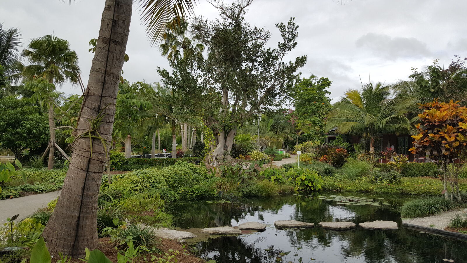Samsung GALAXY S6 edge sample photo. Botanical, gardens, exotic, flora photography