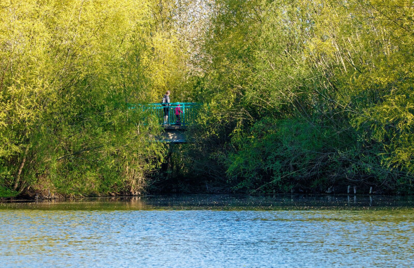 150-600mm F5-6.3 DG OS HSM | Contemporary 015 sample photo. Walk, bridge, lake photography