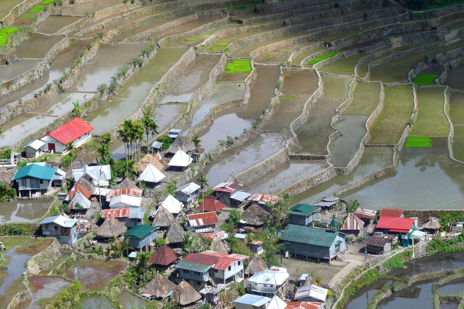 Panasonic Lumix DMC-FZ28 sample photo. Rice field, philippines, terraces photography
