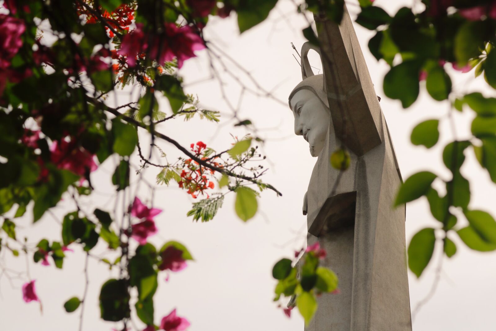 Canon EOS 750D (EOS Rebel T6i / EOS Kiss X8i) sample photo. God, jesus, god's arm photography