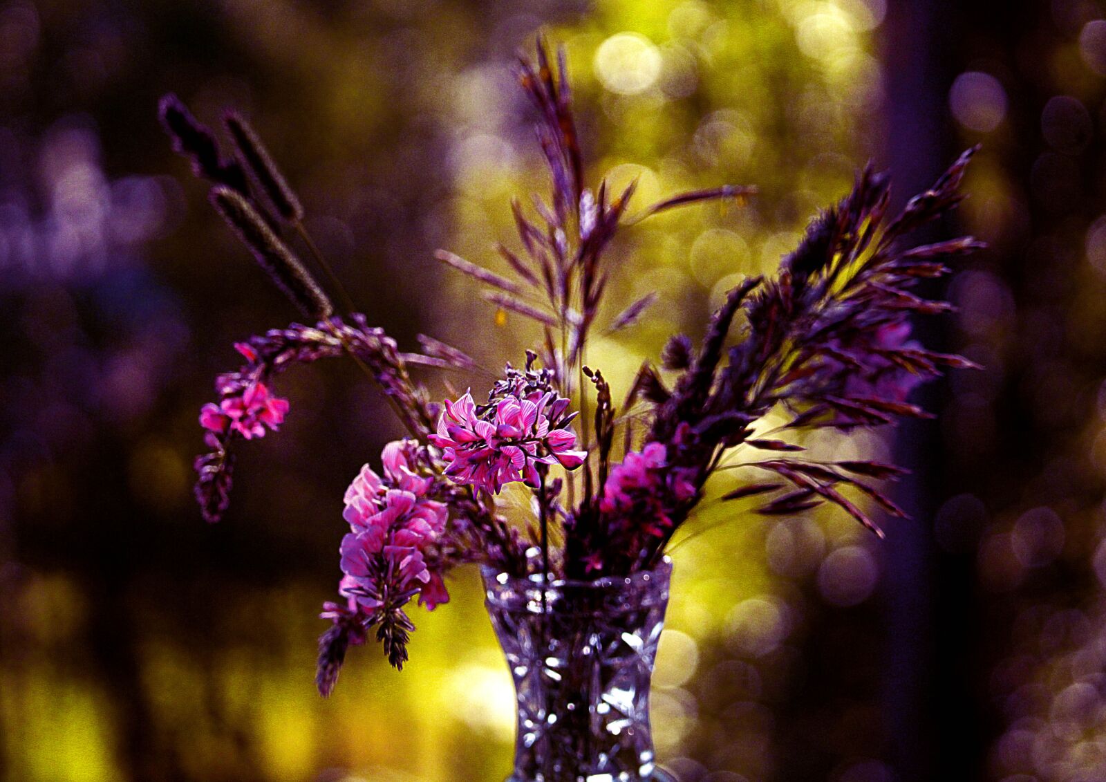 Canon EOS 1200D (EOS Rebel T5 / EOS Kiss X70 / EOS Hi) sample photo. Bouquet, twilight, background photography