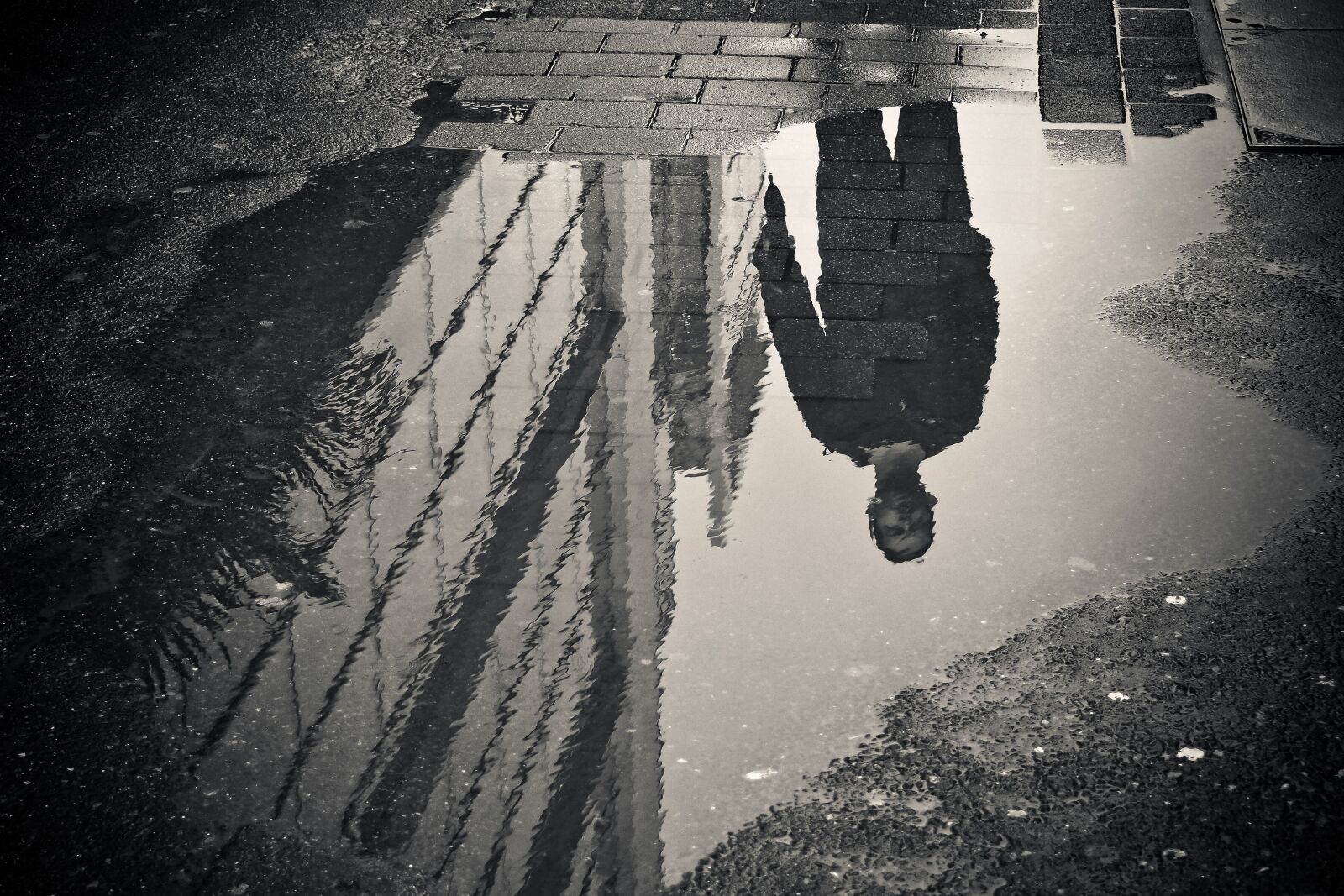 Olympus OM-D E-M10 sample photo. Rain, puddle, water photography