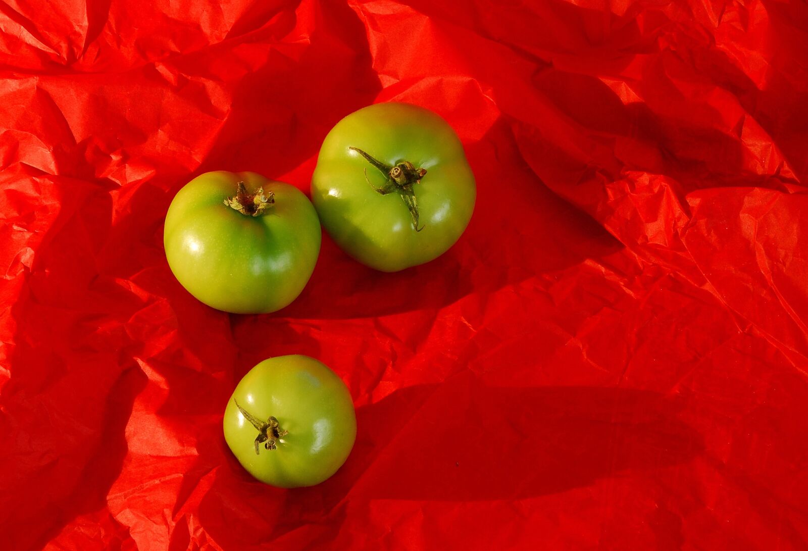 Nikon D80 sample photo. Food, fruit, delicious photography