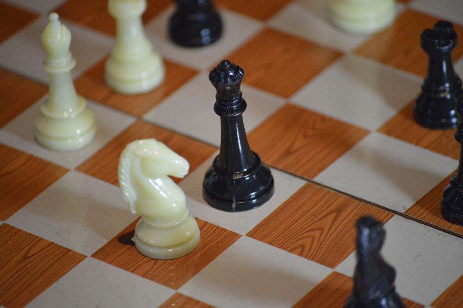 Nikon D3200 sample photo. Game, king, piece photography